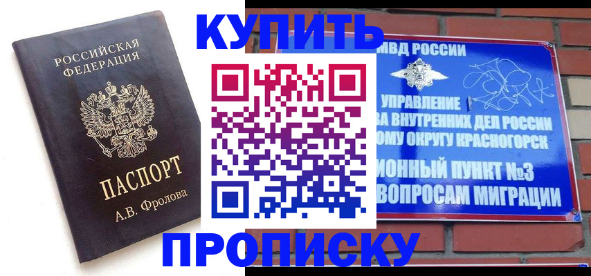 прописка поиск в Чудово